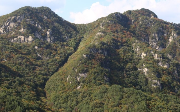 충청북도 단양군 대강면 직티리에 있는 황정산의 능선 풍경.