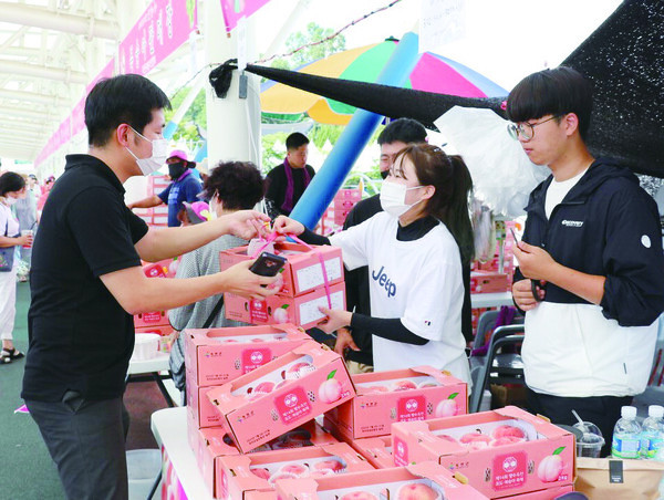 제14회 향수옥천 포도복숭아축제 농민판매부스 모습