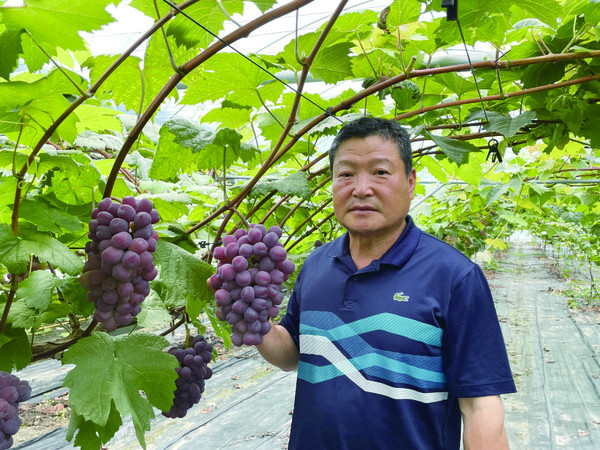 옥천 포도왕으로 선정된 이상인 씨