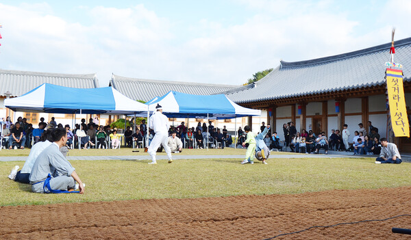 택견 모습