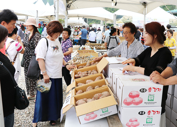 농특산물을 구입하려는 방문객 모습(2019년 옥수수 감자 축제)