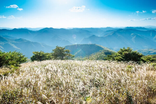 민둥산